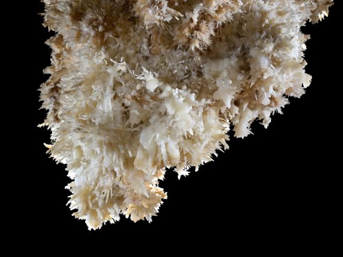 Grotte de Limousis (Aude) - Le lustre couvert de concrétions d'aragonites (vue d'ensemble de l'extrémité) (SP-21-0828)